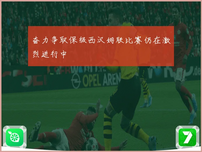 奋力争取保级西汉姆联比赛仍在激烈进行中