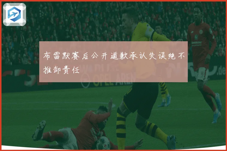 布雷默赛后公开道歉承认失误绝不推卸责任