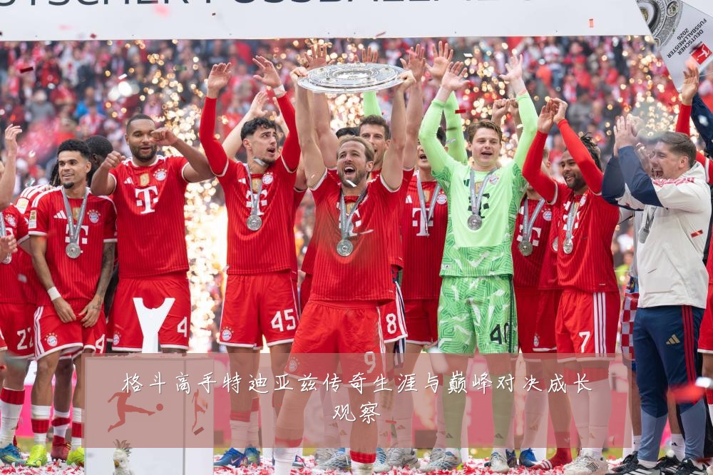 格斗高手特迪亚兹传奇生涯与巅峰对决成长观察